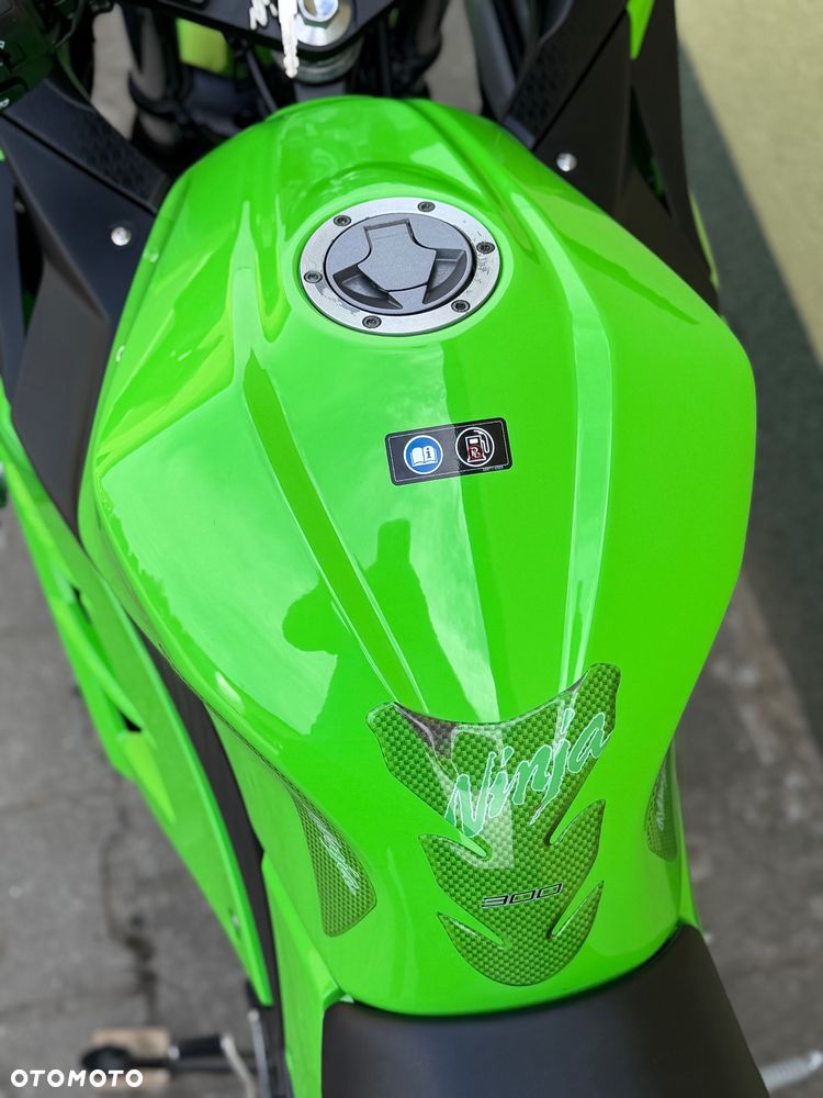 Kawasaki Ninja 300 ABS - 36