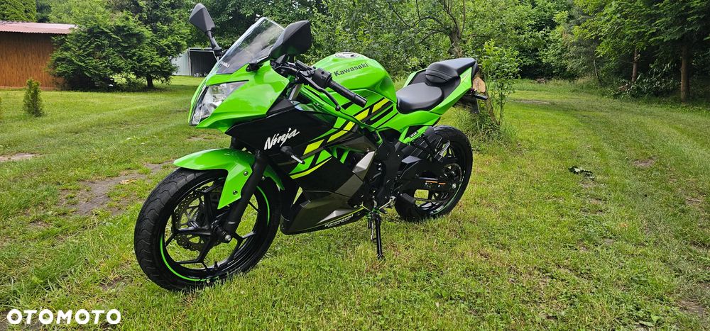 Kawasaki Ninja - 3