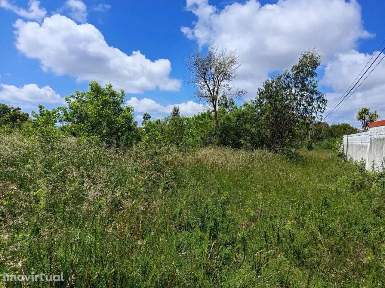 Lote de Terreno de 8.500 m² em Santa Maria da Feira - Grande imagem: 4/49