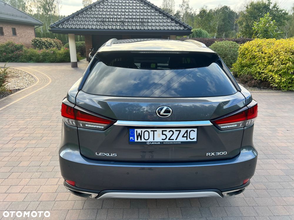 Lexus RX 300 Business Edition + - 9