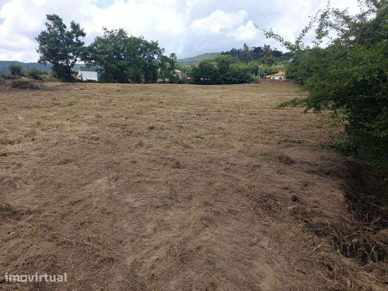Terreno urbano vale formoso - Grande imagem: 5/8