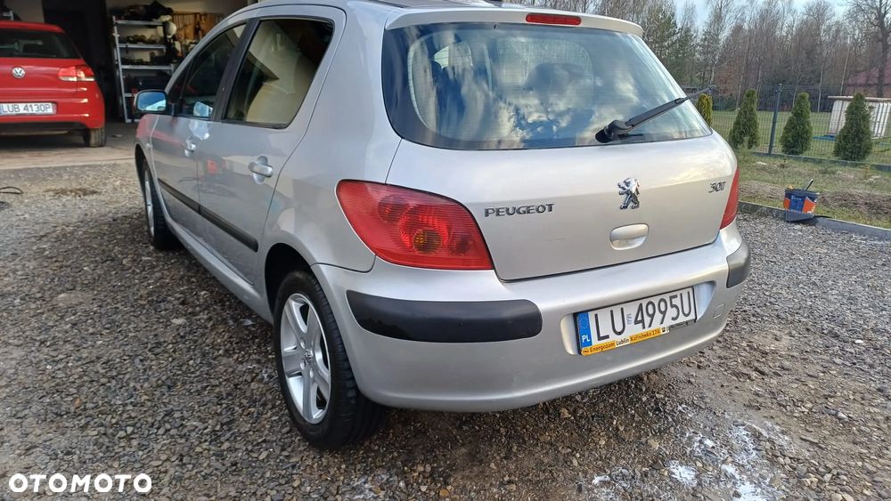 Peugeot 307 110 Grand Filou - 2