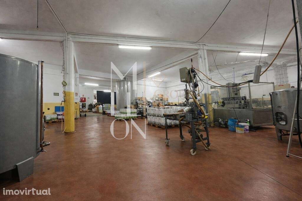 Armazém com uma área de 463 m2  – Almeirim - Grande imagem: 2/9