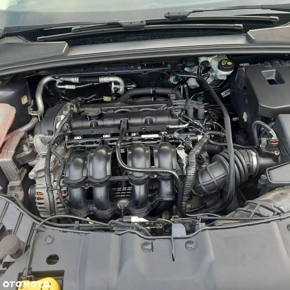 Ford Focus 1.6 Ambiente - 7