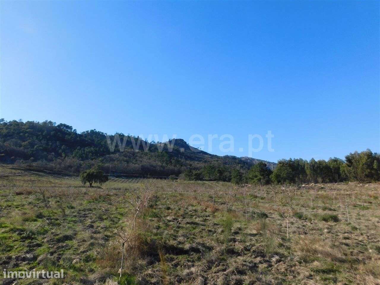 Terreno / Fundão, Castelo Novo - Grande imagem: 2/19