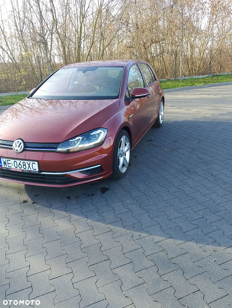 Volkswagen Golf - 19