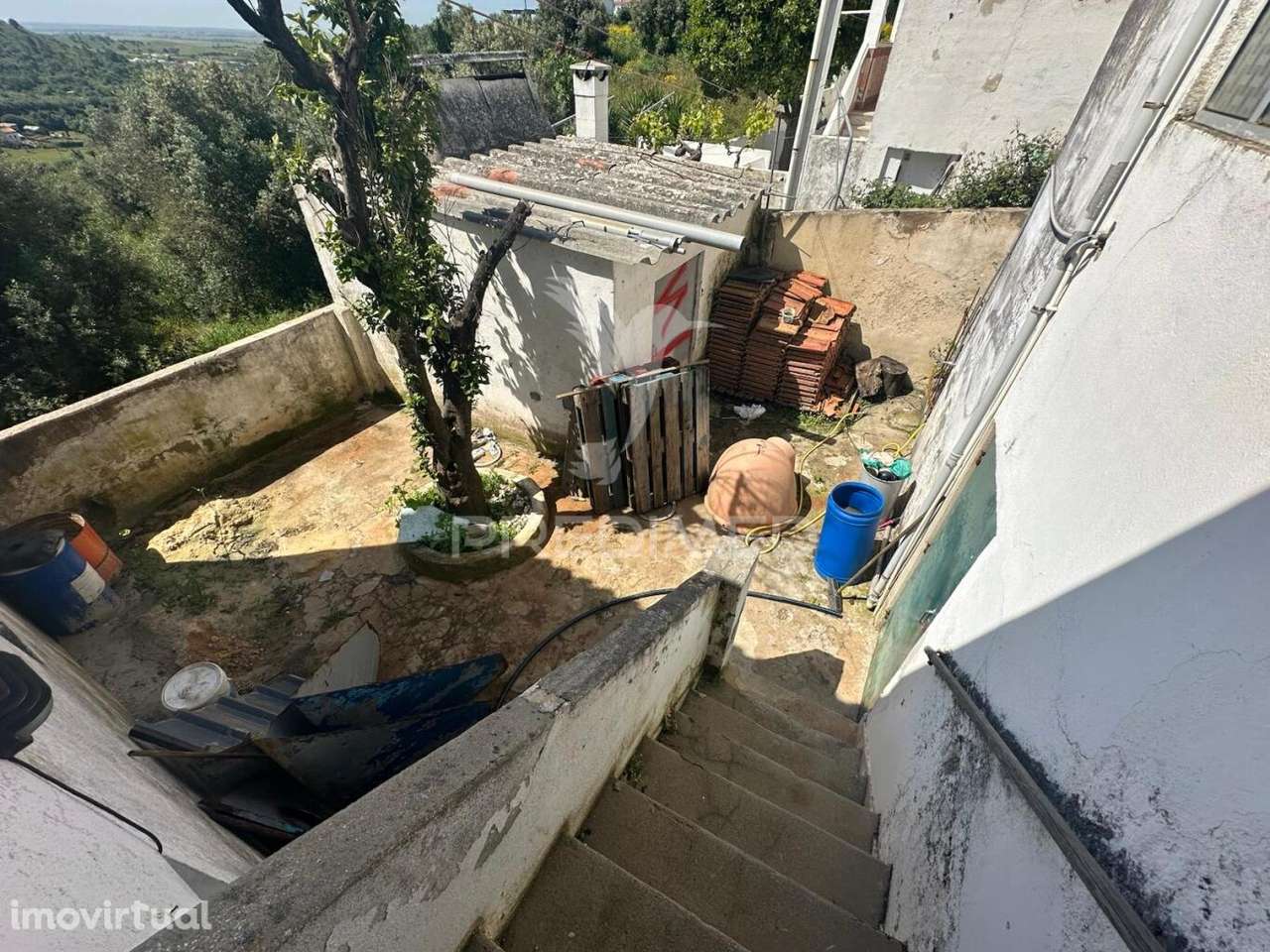 Moradia no Planalto de Santarém - Grande imagem: 3/27
