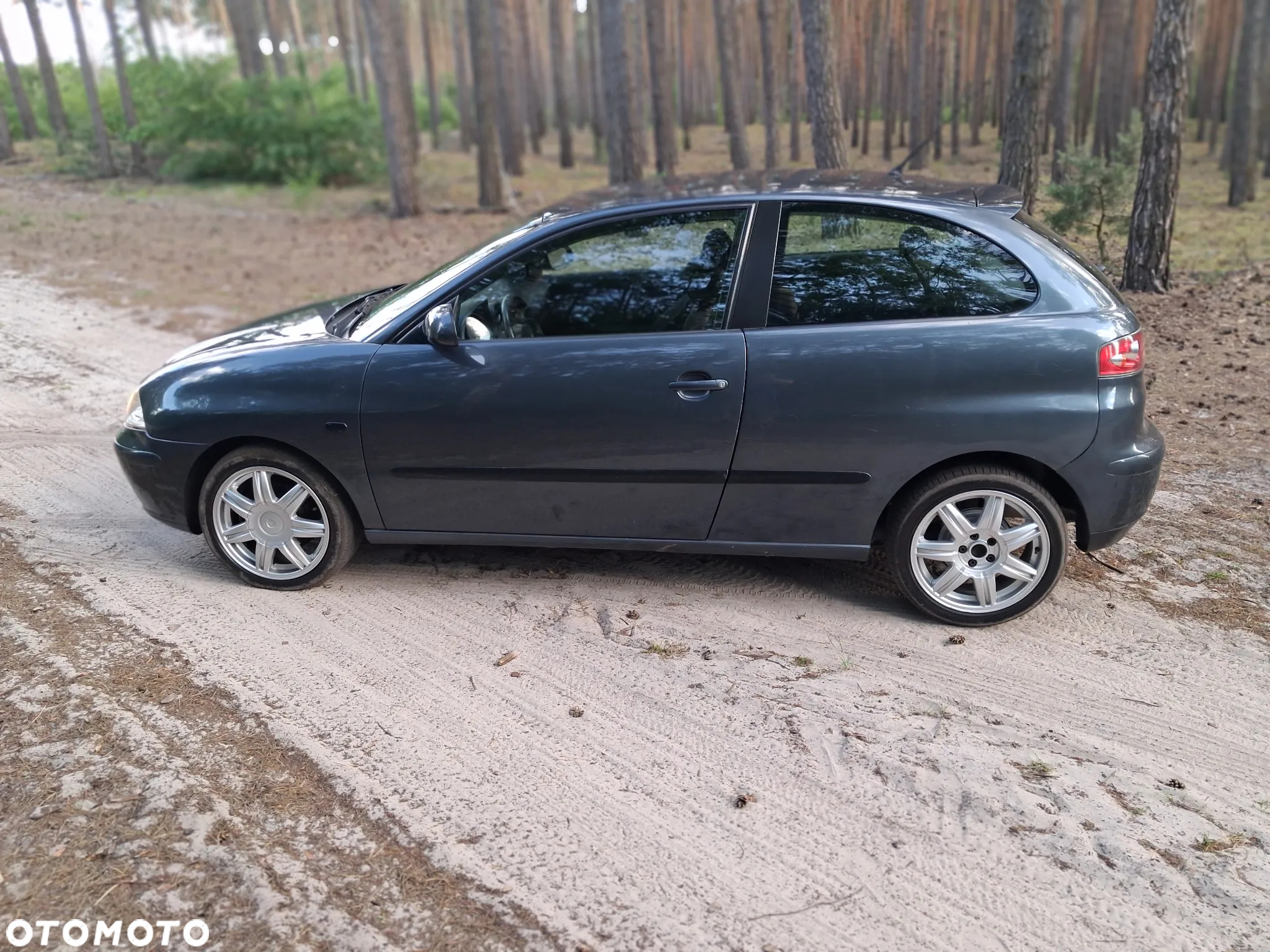 Seat Ibiza 1.4 16V Fresc - 2