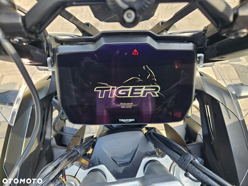 Triumph Tiger - 2