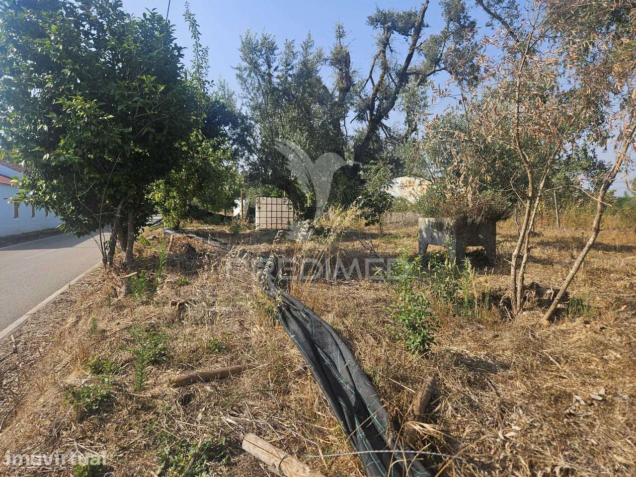 Terreno em Ferreira do Zêzere - Grande imagem: 2/20