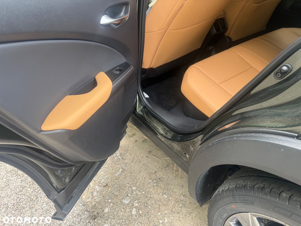 Lexus UX 300h F Sport AWD - 20