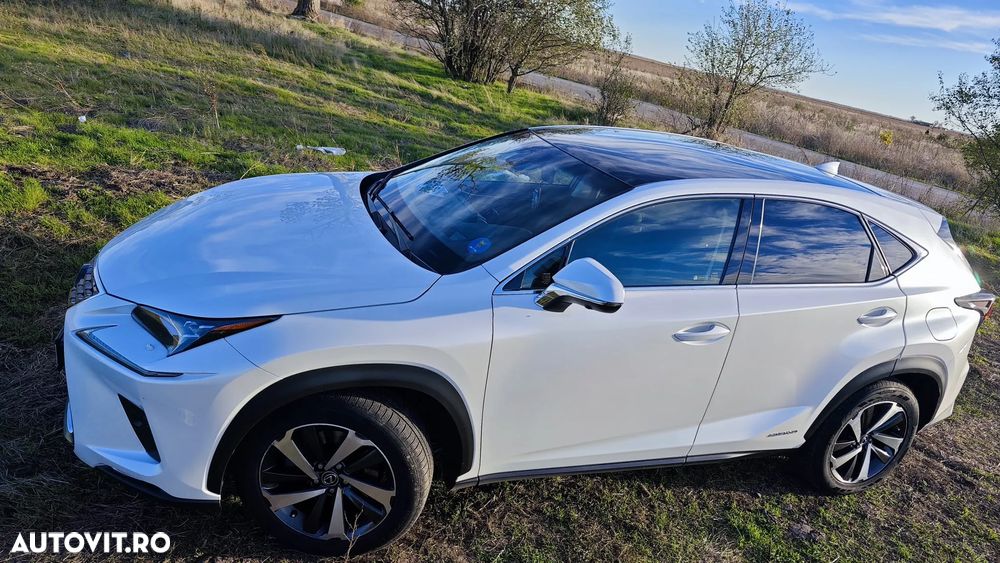 Lexus Seria NX 300h AWD Luxury - 6