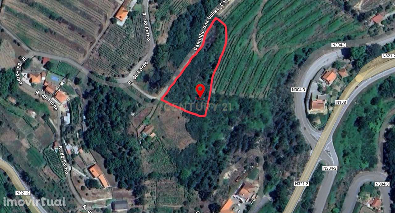 Terreno agrícola em solarenga encosta de Santa Marinha do Zêzere, Baiã - Grande imagem: 4/21