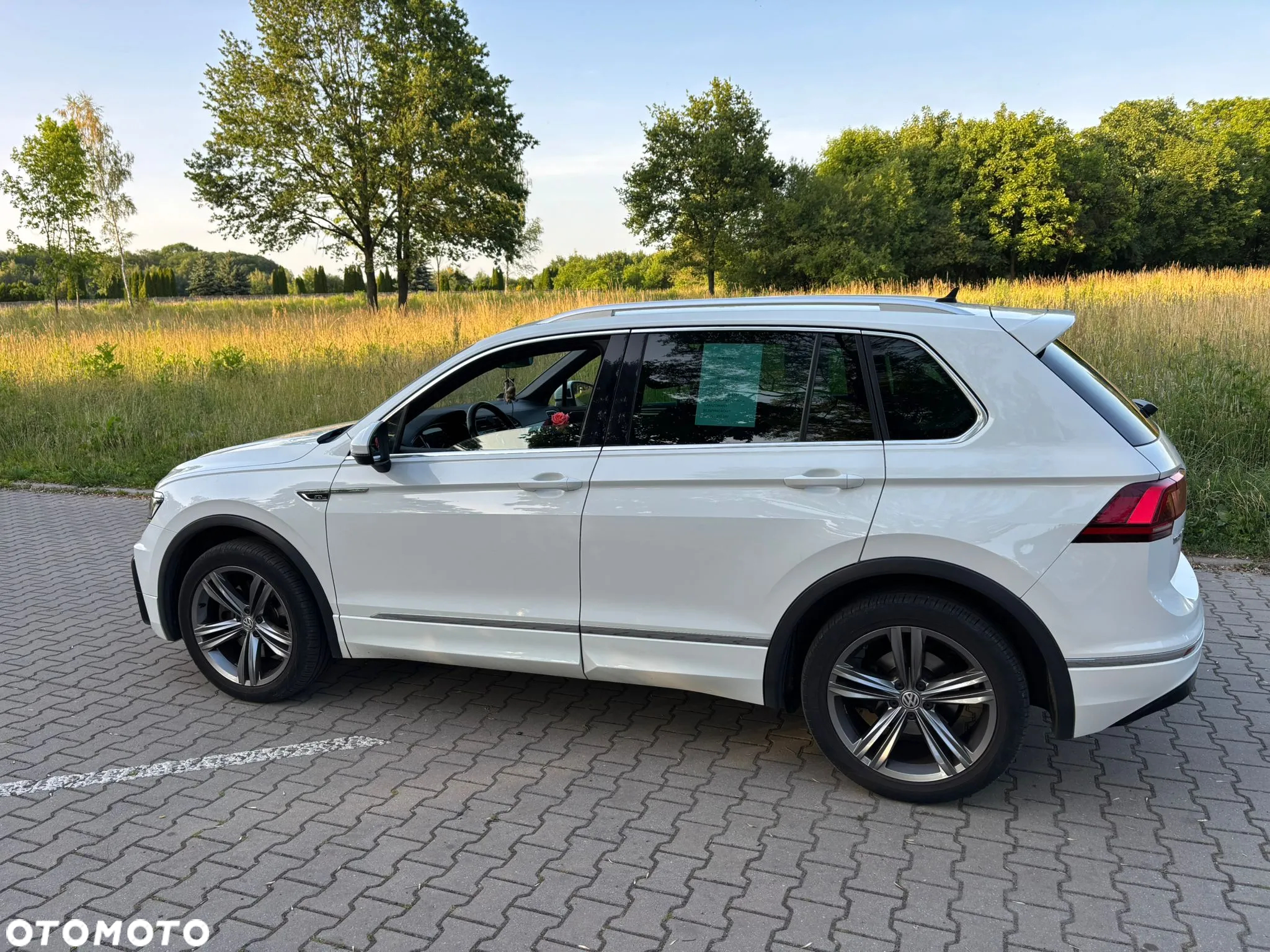 Volkswagen Tiguan - 21