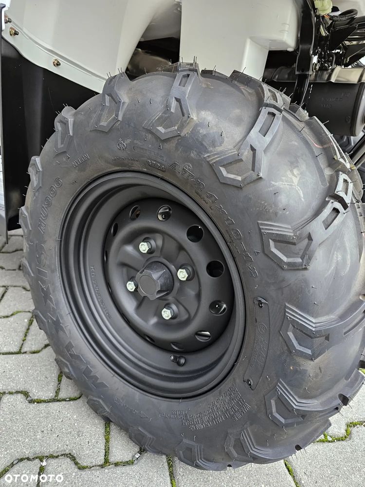 Kawasaki Brute Force - 7