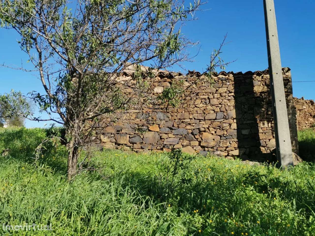 Terreno urbano no Sitio do Vale Rosado - Conceição de Tavira - Grande imagem: 3/7