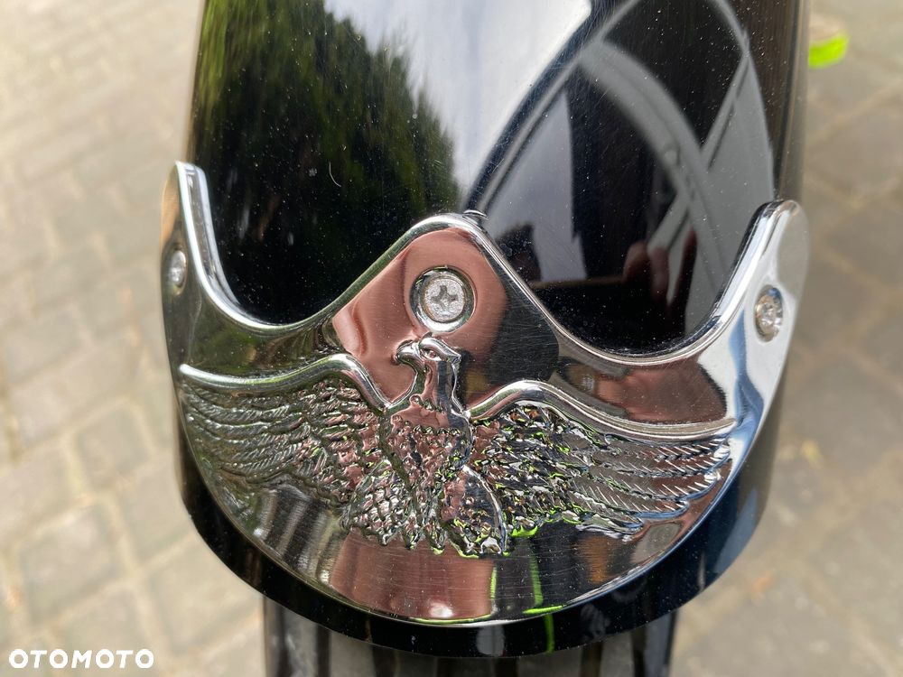 Honda Shadow - 19