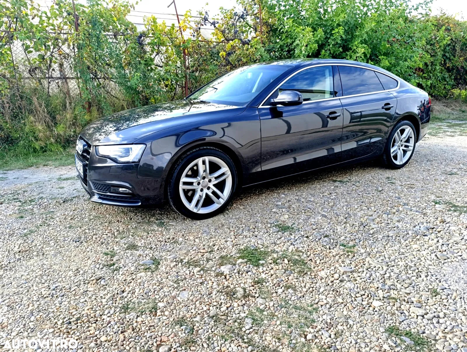 Audi A5 2.0 TDI Sportback DPF multitronic - 2