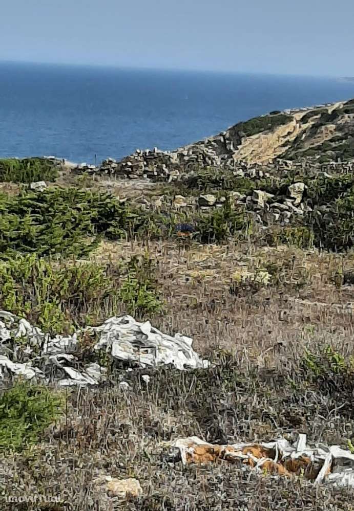 Terreno Rústico 10320m2 Sintra - Grande imagem: 2/19