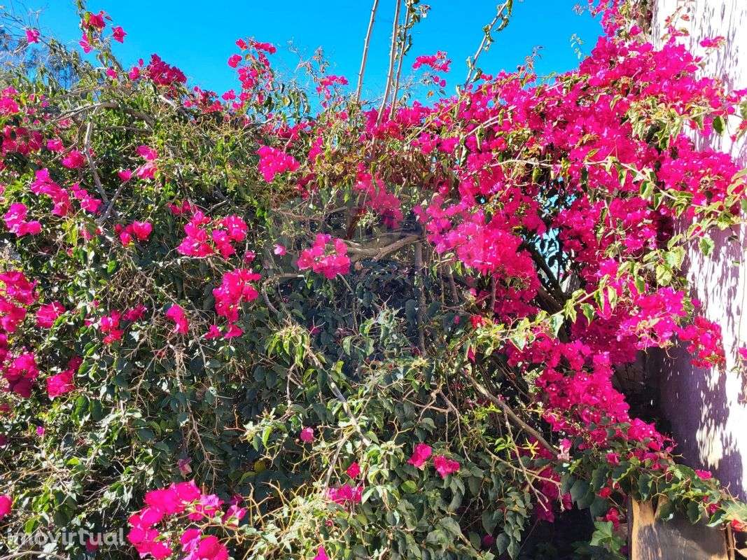 Quinta  para venda - Grande imagem: 4/21