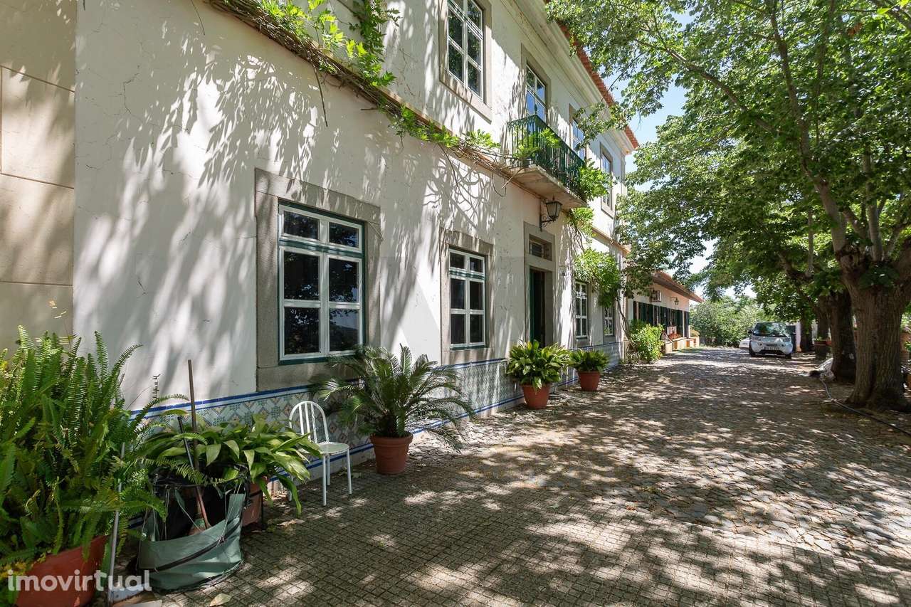Propriedade única no Alentejo com casa senhorial, 5 moradias e 3,3ha d - Grande imagem: 3/60