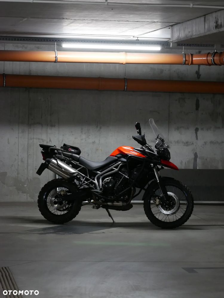 Triumph Tiger - 1