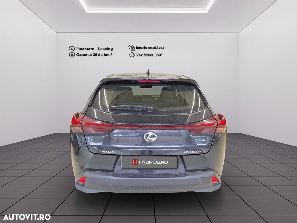 Lexus UX 250h Business Edition - 6