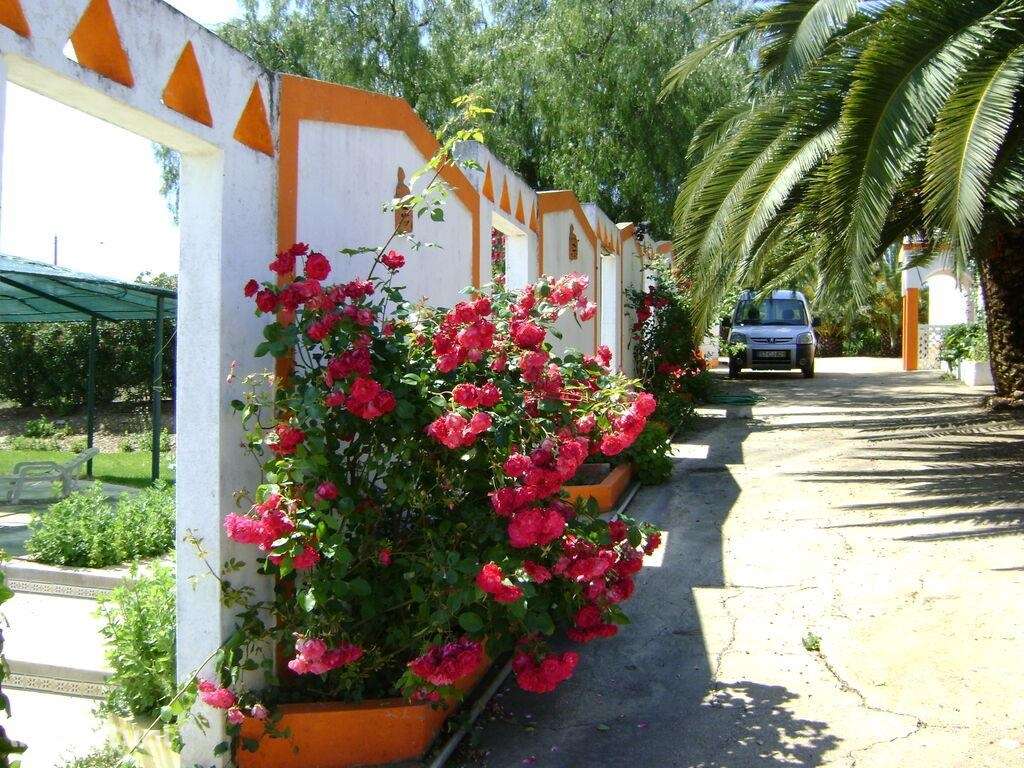 Terreno Agrícola em Cabeça Gorda de 41500,00 m2 - Grande imagem: 2/22