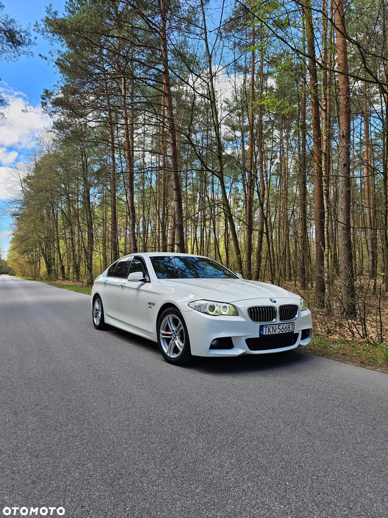 BMW Seria 5 530d xDrive - 7