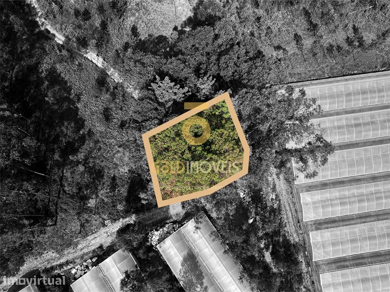 Terreno Rústico  Venda em Sobrado e Bairros,Castelo de Paiva - Grande imagem: 2/26