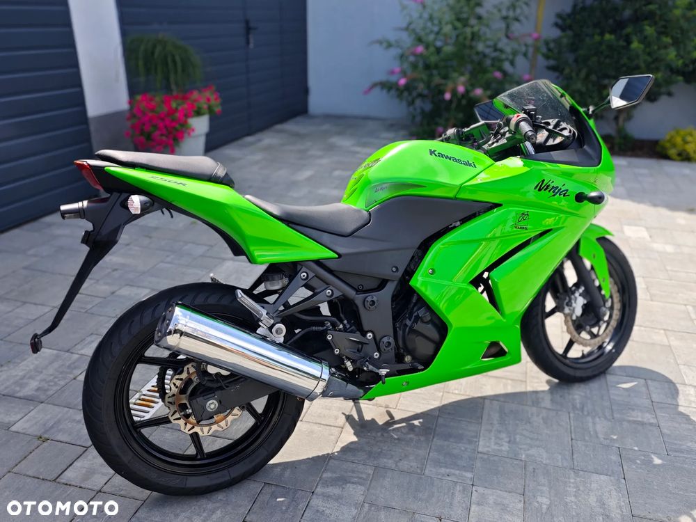 Kawasaki Ninja 250R - 21