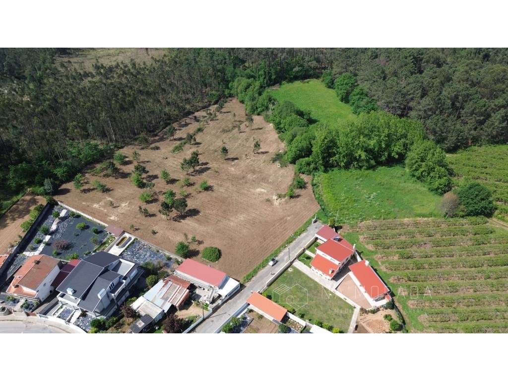 Terreno misto com 11.500m2 em Pigeiros, junto ao nó da A32 - Grande imagem: 5/21