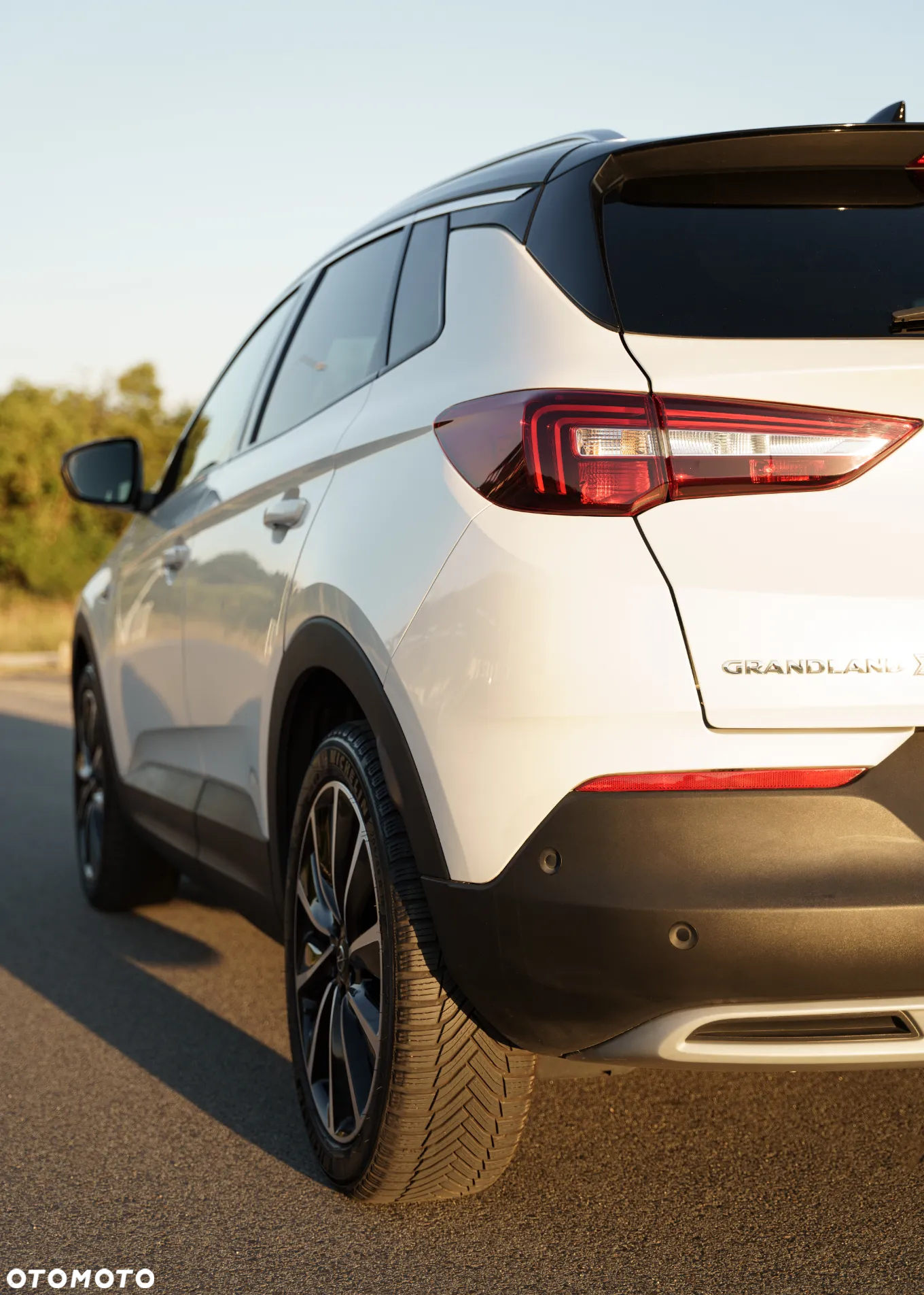 Opel Grandland X 1.5 CDTI Ultimate S&S - 6