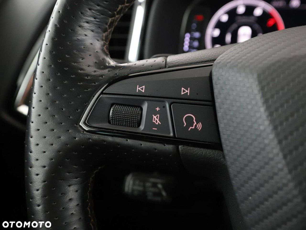 Cupra Ateca 2.0 TSI 4Drive DSG - 36