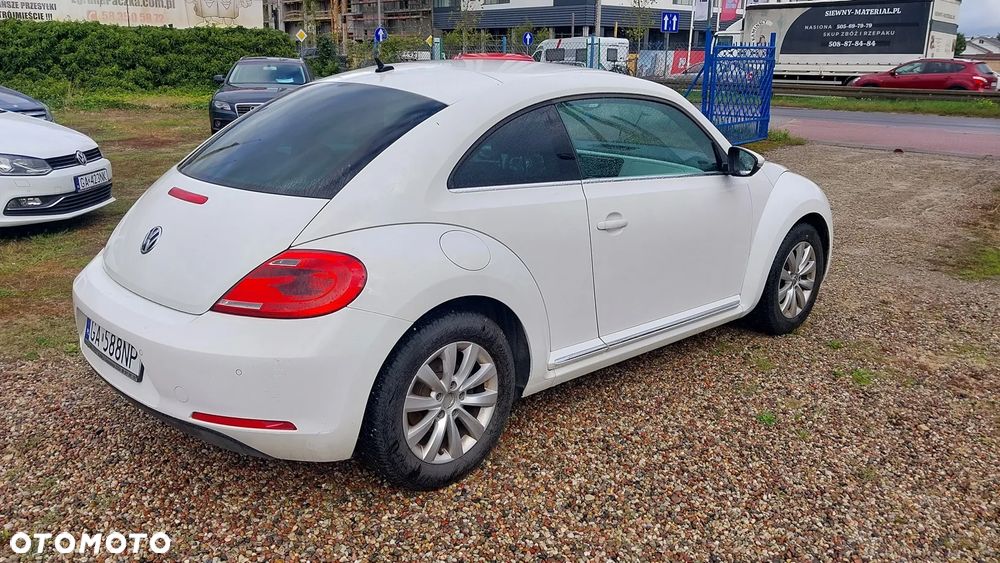 Volkswagen Beetle - 12