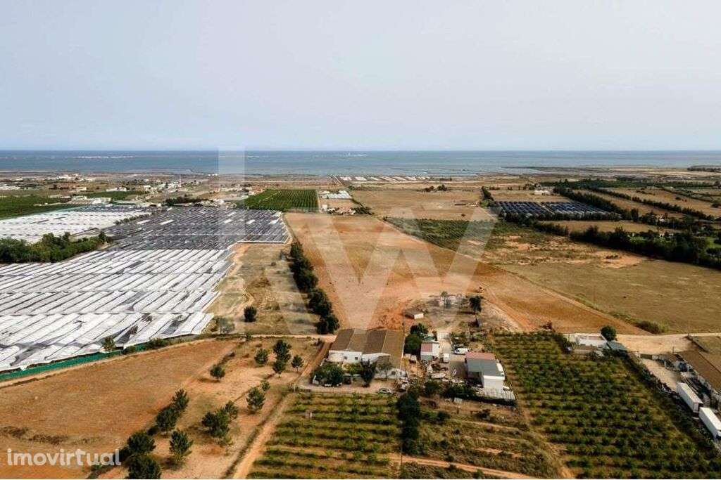 TERRENO AGRICOLA | |COM FURO DÁGUA | POTENCIAL PARA ALOJAMENTO AGRICOL - Grande imagem: 5/21