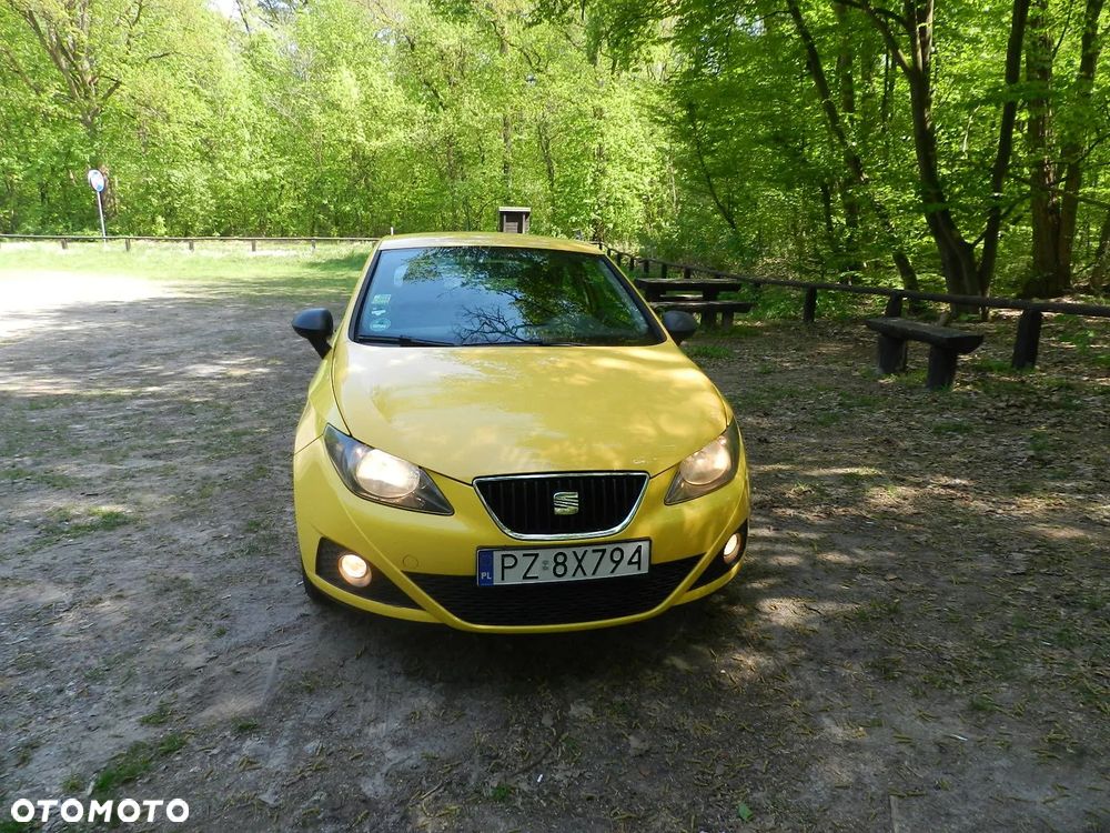 Seat Ibiza - 16