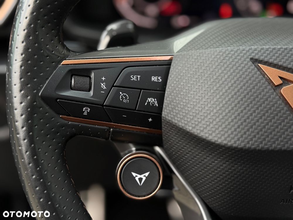 Cupra Formentor VZ 2.0 TSI 4Drive DSG - 22