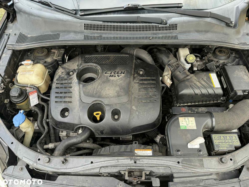 Kia Sportage 2.0 d Freedom - 7