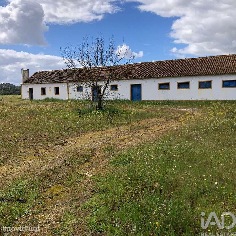 Quinta T3 em Couço de 299,00 m2 - Grande imagem: 3/18