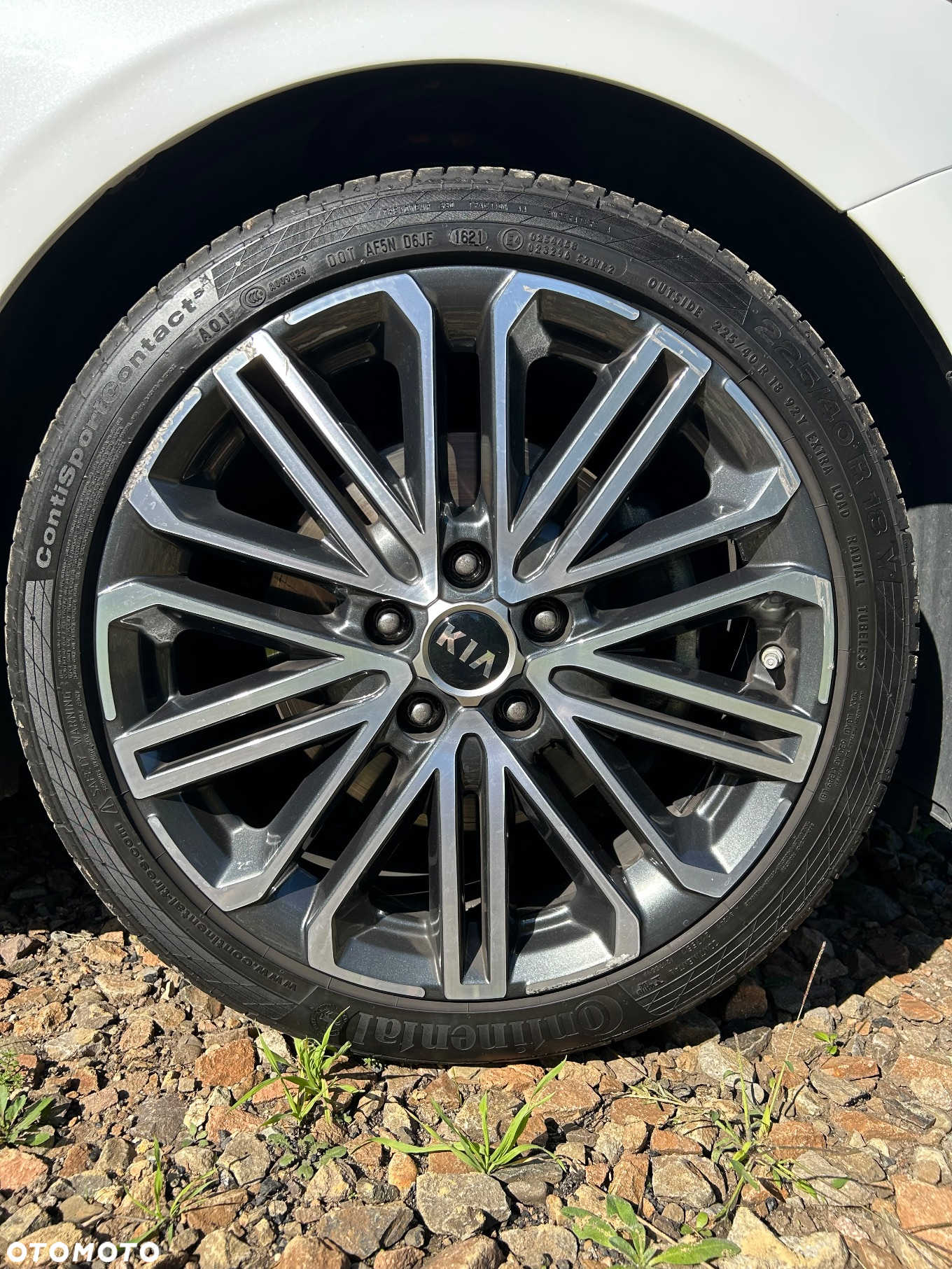 Kia ProCeed 1.6 CRDi DCT7 SCR GT LINE - 16