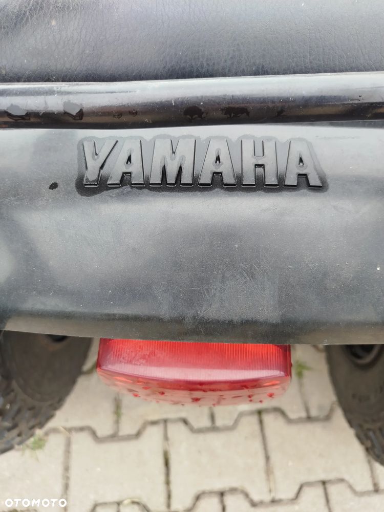 Yamaha Grizzly - 18
