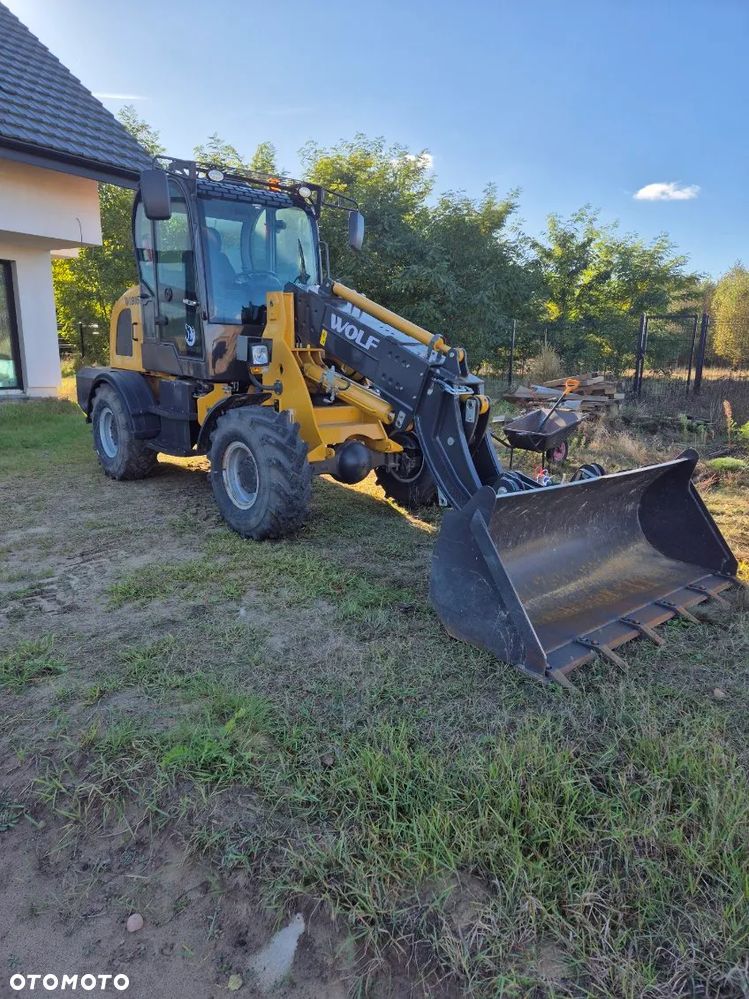 Inny WOLF WL816T - 10