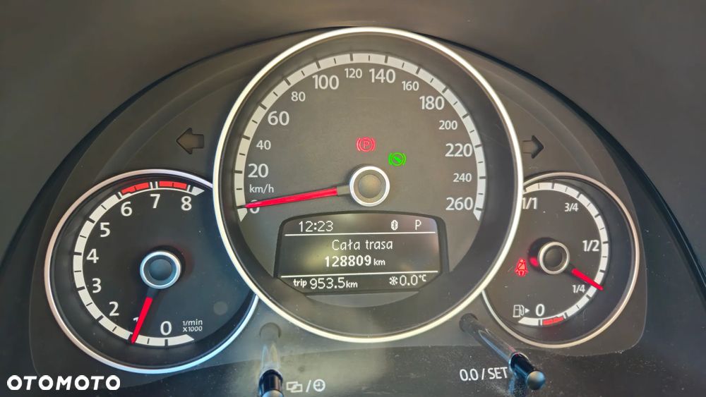 Volkswagen Beetle - 22