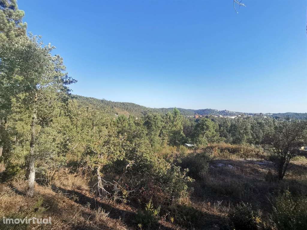 Terreno para construção, Eiras - Grande imagem: 3/3