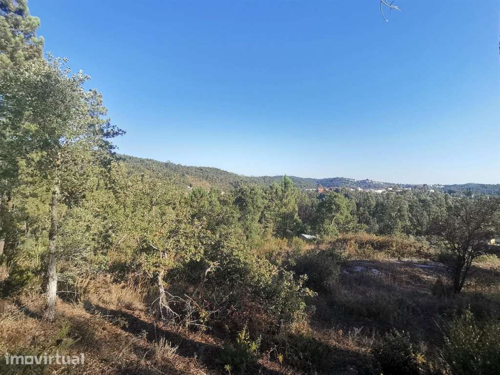 Terreno para construção, Eiras - Grande imagem: 3/3