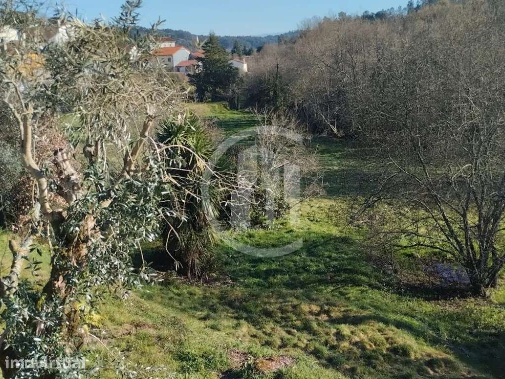 Terreno Rústico em Torredeita - Viseu - Grande imagem: 2/3