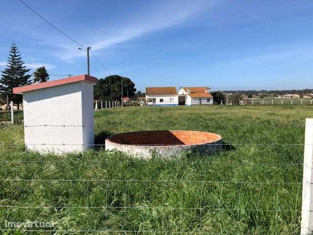 TERRENO AGRÍCOLA com 4500m2 na  QUINTA DO ANJO (PALMELA) - Grande imagem: 4/10
