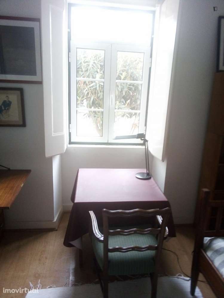 Quarto - localizado em Campo de Ourique Lisbon - Grande imagem: 3/10