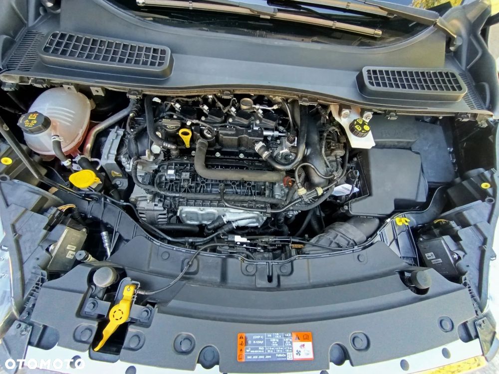 Ford Kuga 1.5 EcoBoost FWD Titanium Plus ASS - 18